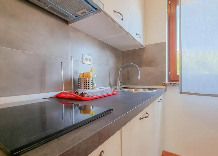Apartment Dani Umag